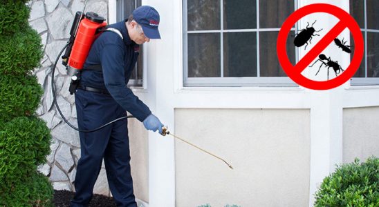 Lalapaşa Kene İlaçlama böcek ilaçlama ve haşere kontrolü — ilaclama-tr.com